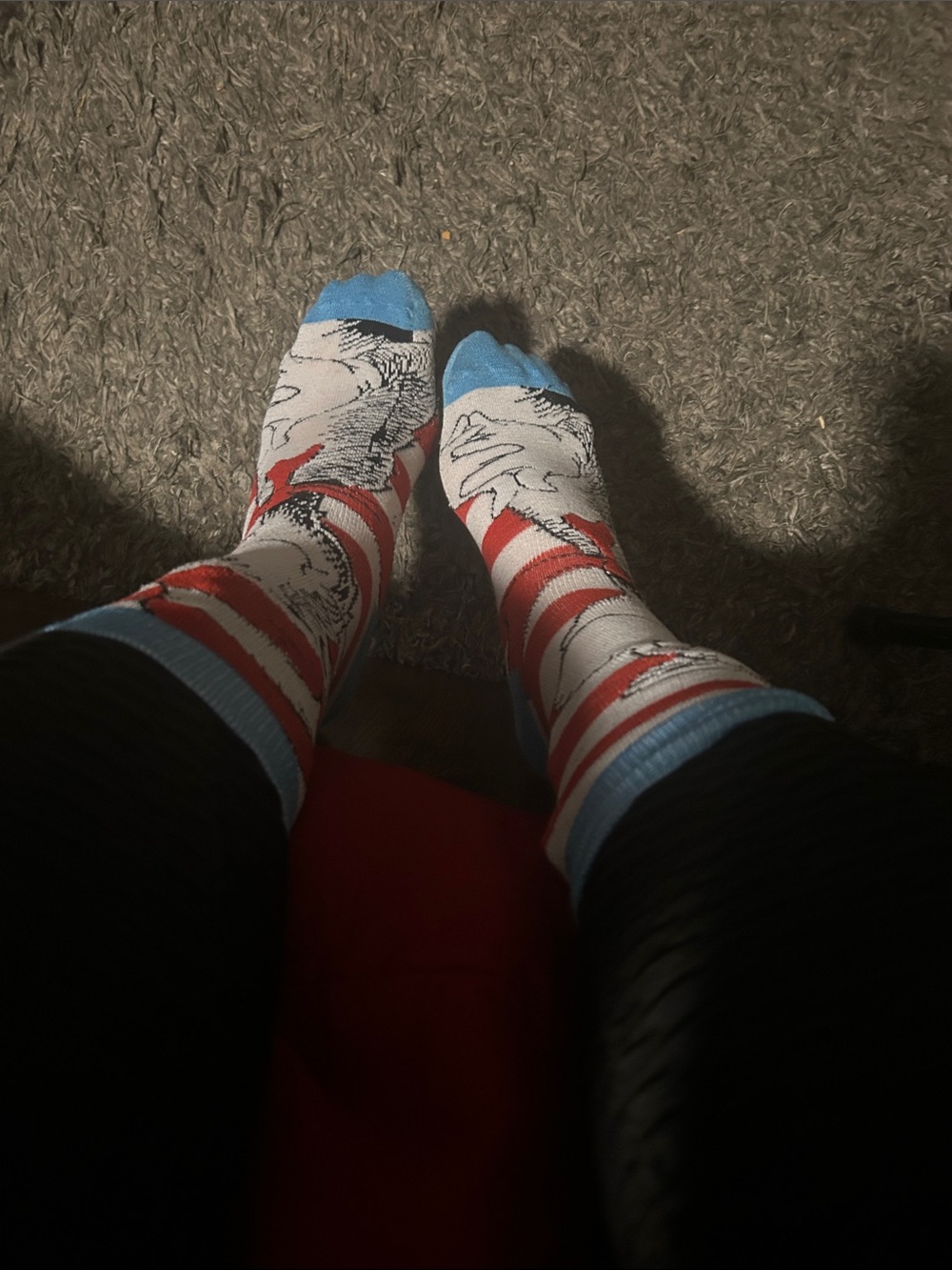 Novelty Red & White Striped Crew Socks with Light Blue Accents cat and the hat
